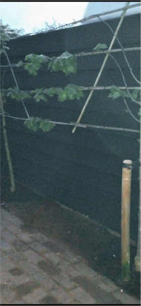 Geplaatste houten schutting voor privacy in de tuin